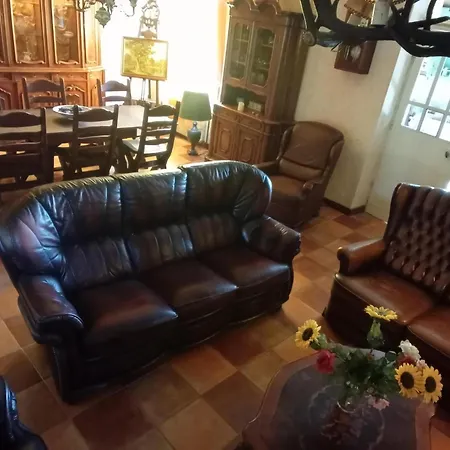 Tranquil Garden Hideaway بيت للعطل