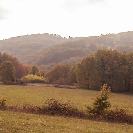 Tranquil Garden Hideaway *