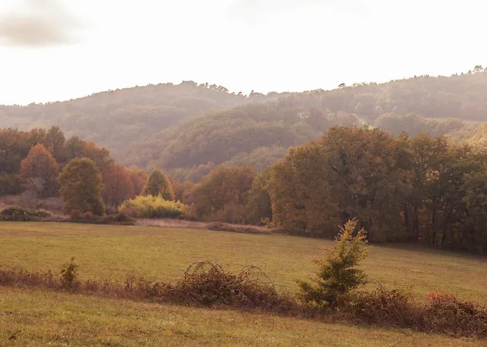 Tranquil Garden Hideaway *